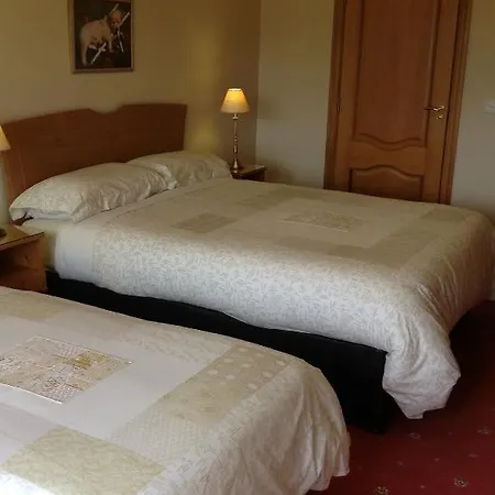 Killarney House Panzió Tralee